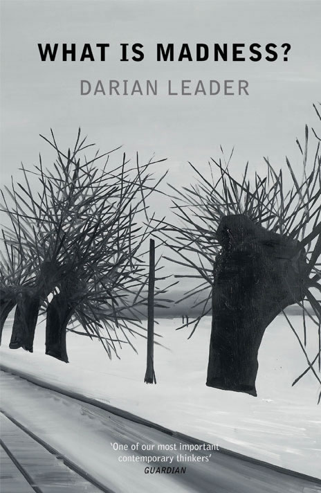 Darian Leader, What is Madness?[link]/current/darian-leader.html[/link]